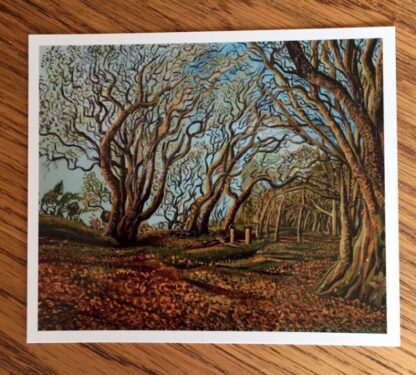 The Path Through the Beeches from Triscombestone postcard